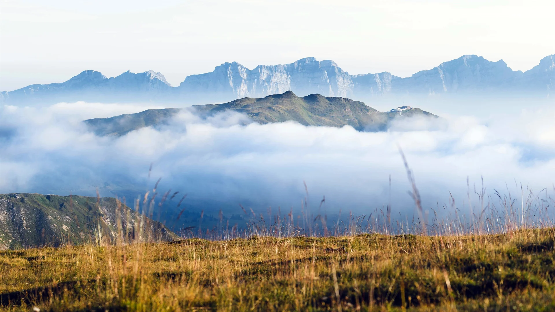 阿尔卑斯云海山巅 4K 自然壁纸 壮阔治愈感高山云海场景桌面背景