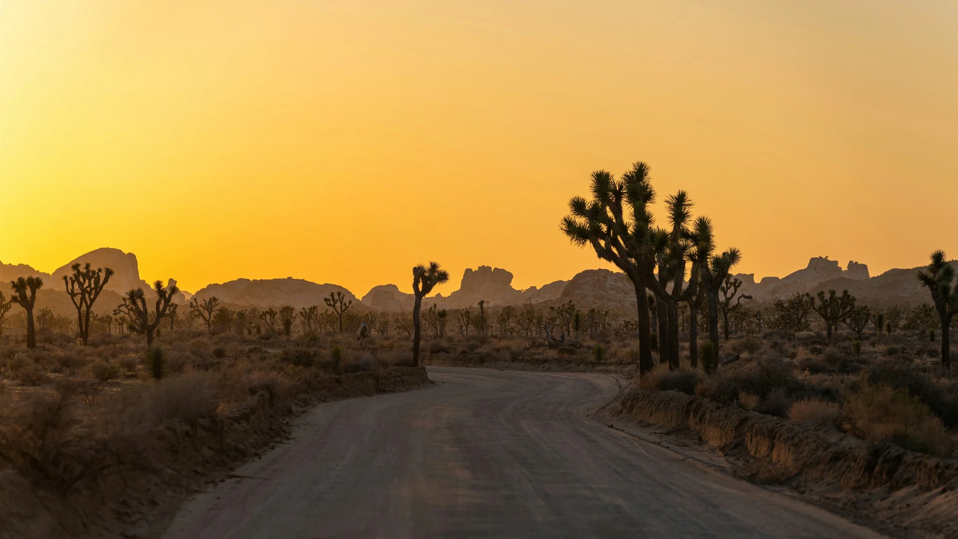 约书亚树沙漠公路 4K 自然壁纸 壮阔静谧感荒漠日落场景桌面背景4K壁纸_4K风景
