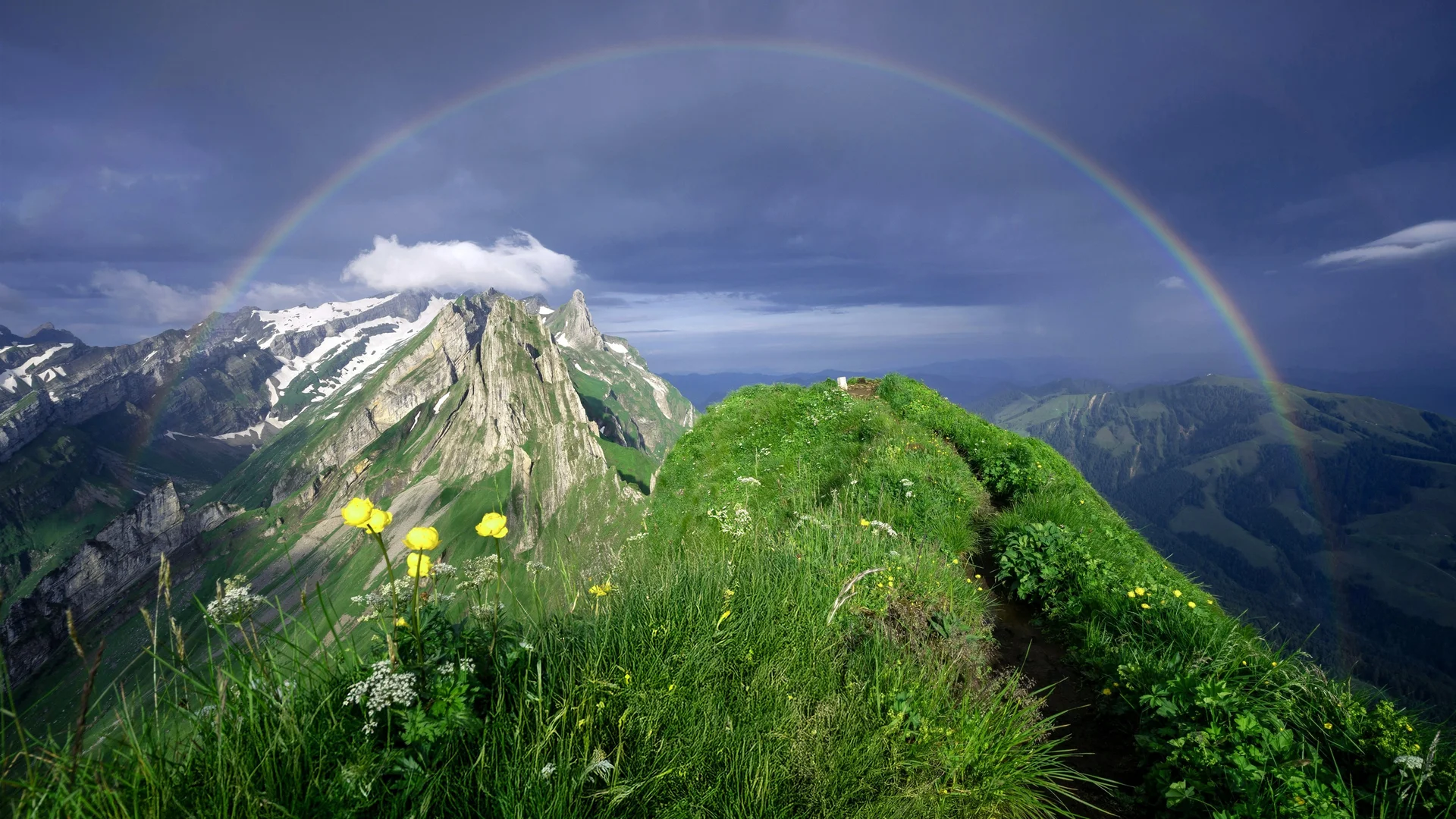 阿尔卑斯山巅彩虹 4K 自然壁纸 清新治愈感高山草甸场景桌面背景