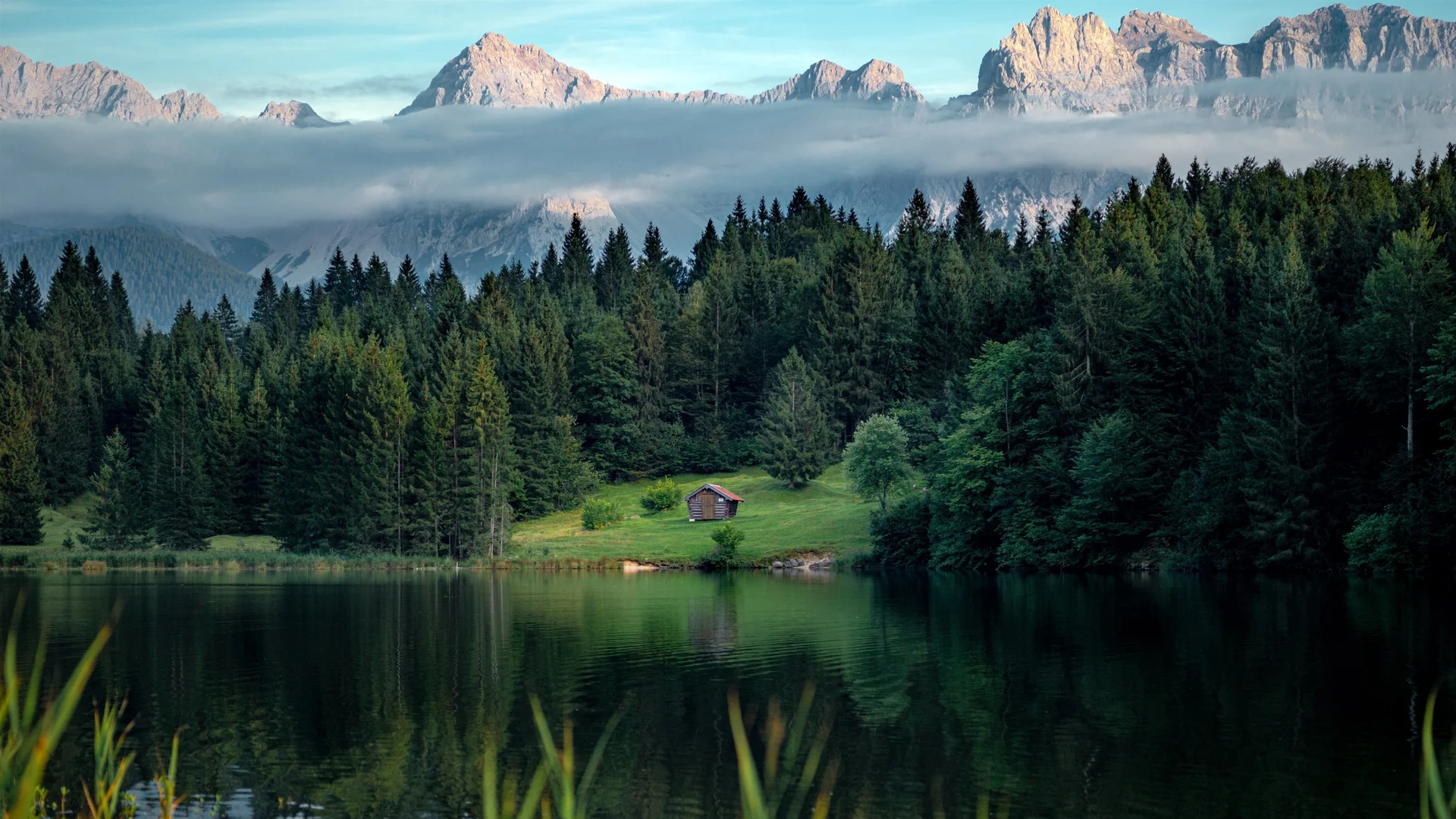 阿尔卑斯湖林晨雾 4K 自然壁纸 清新治愈感山湖秘境场景桌面背景