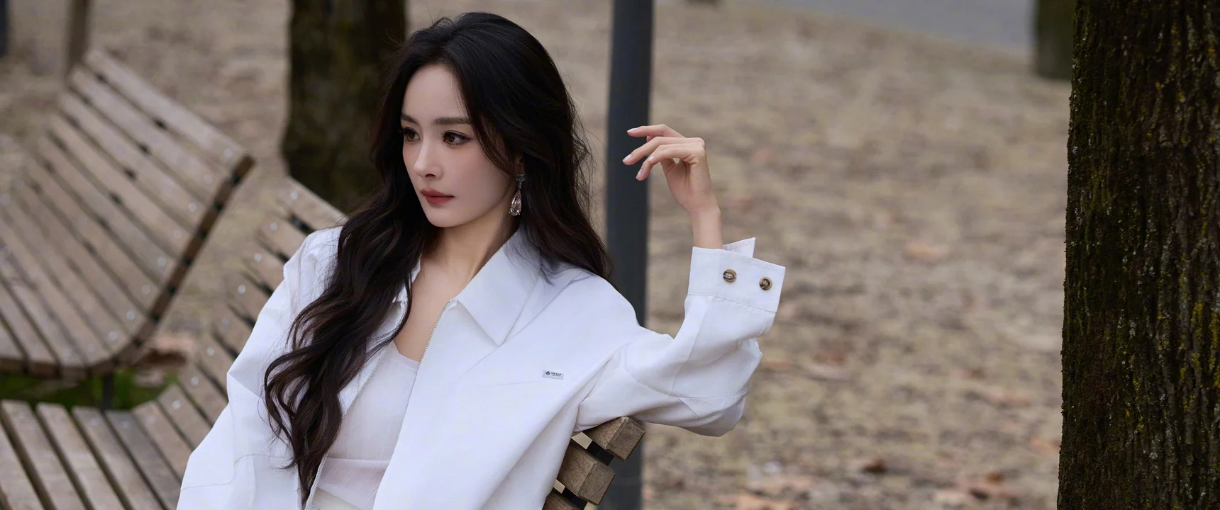 杨幂，秋林闲坐 4K 文艺写真壁纸