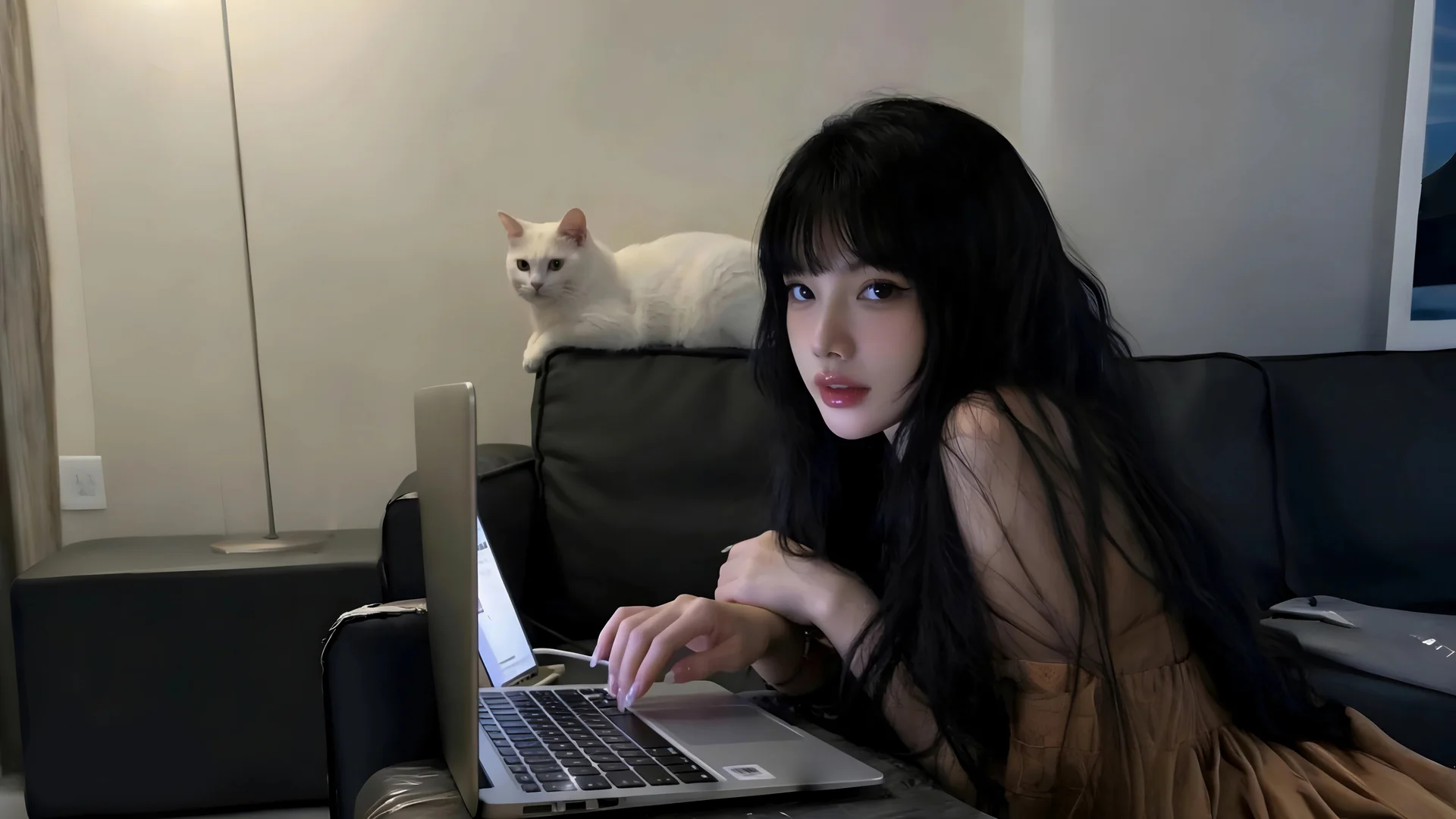 闲居伴猫，度假少女与猫 4K 清新写真壁纸4K壁纸_4K人物