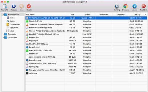 跟IDM差不多的下载软件，关键是免费 Neat Download Manager